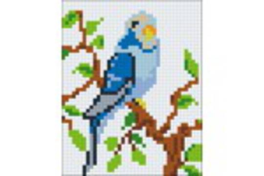 Blue Parakeet/budgie